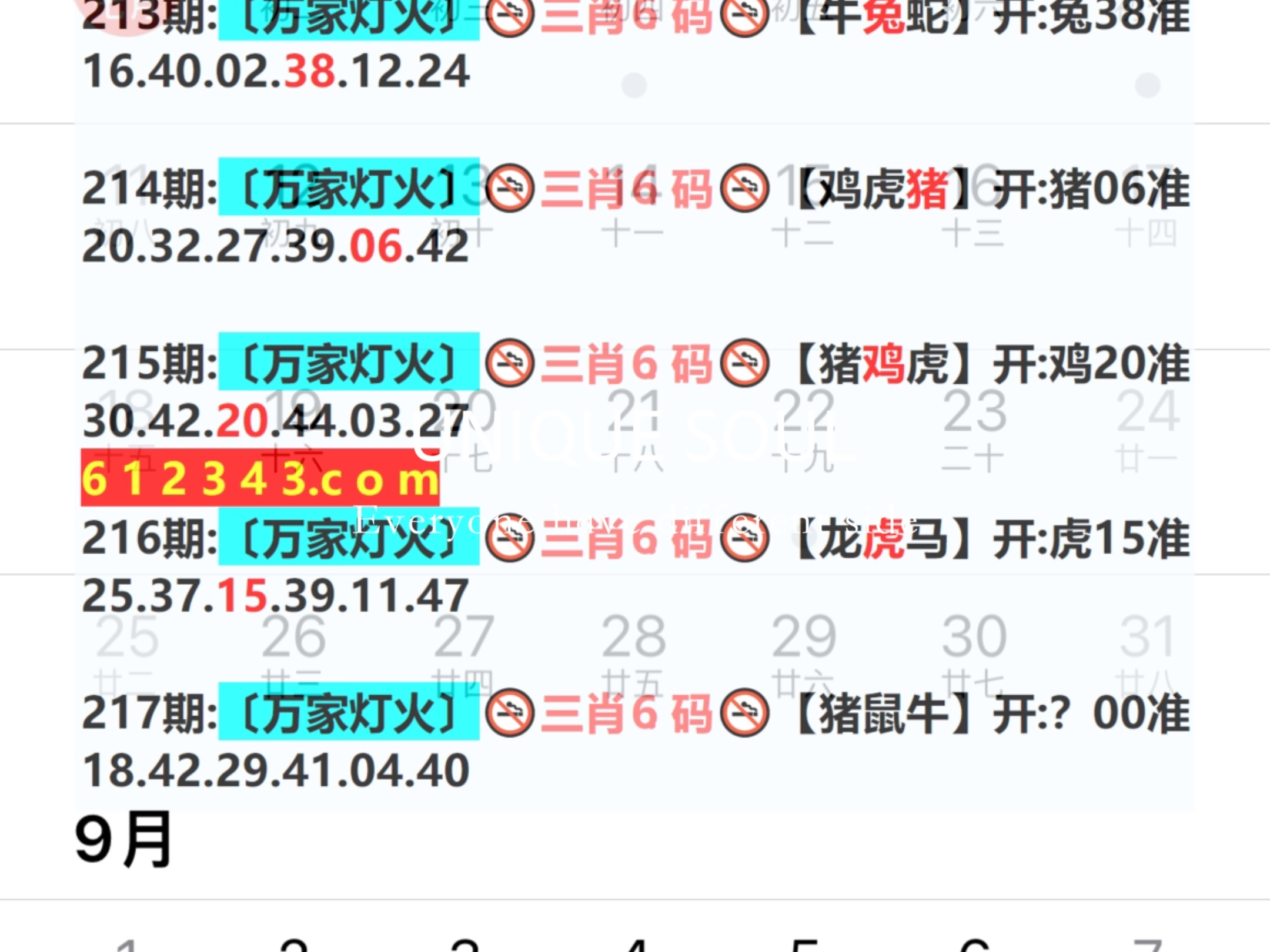 2024年新奧門天天開彩免費資料,解答配置方案_DUP50.850圖形版