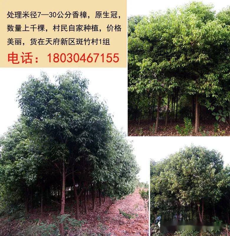 印刷環(huán)評(píng) 第136頁(yè)
