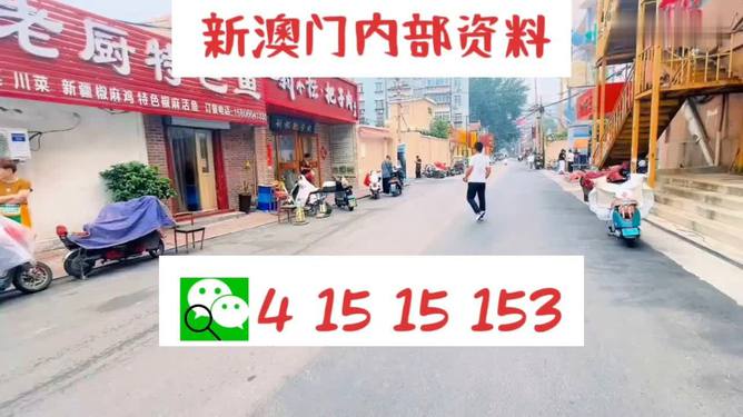 2024年澳門天天開好彩,實地觀察解釋定義_QOY49.113定制版