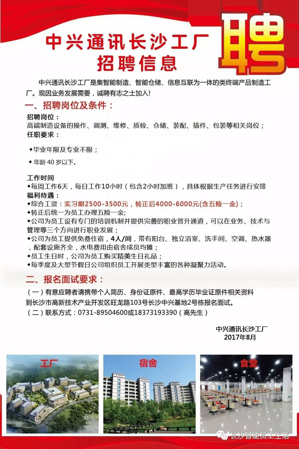 深圳中興最新招聘信息揭秘，職場小幸運(yùn)的日常故事開啟招聘大門