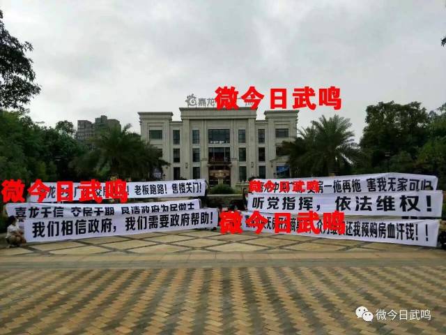 武鳴里建最新房價，投資熱點與趨勢分析及購房指南