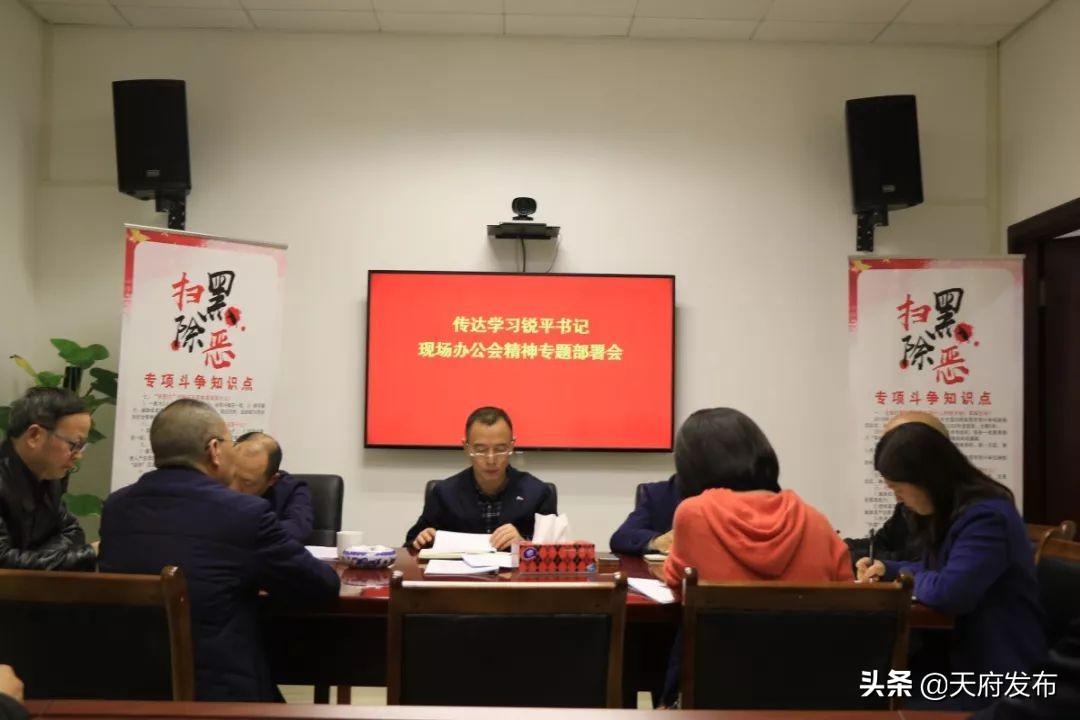 成都直管區(qū)最新動態(tài)，一種觀點的深度分析與闡述