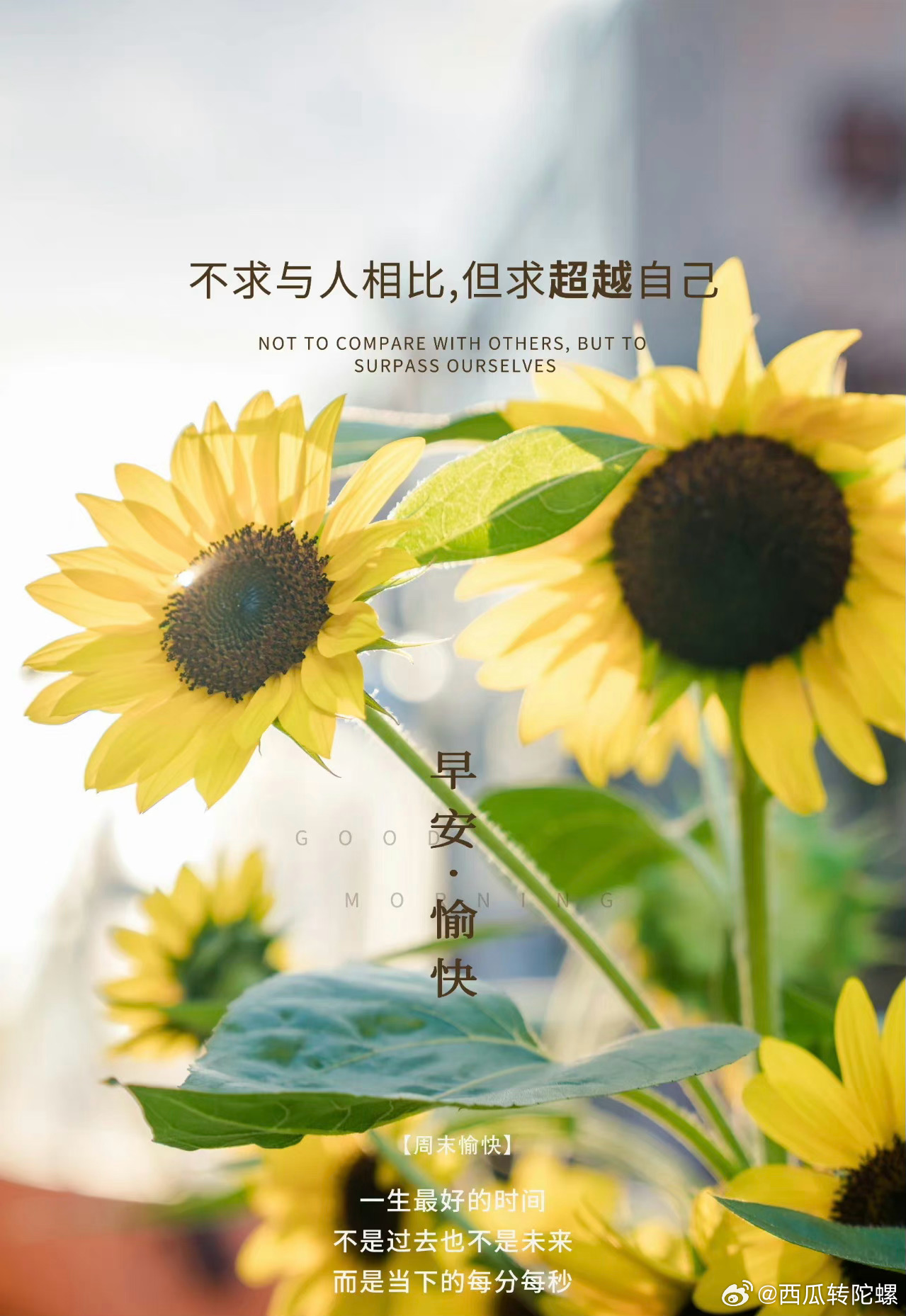 每日七言2024最新版，探索自然美景之旅，尋找內(nèi)心平和的旅程