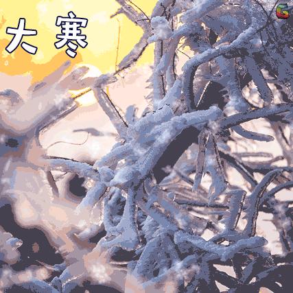 2024年白蘿卜最新價格回顧與展望，洞悉市場趨勢