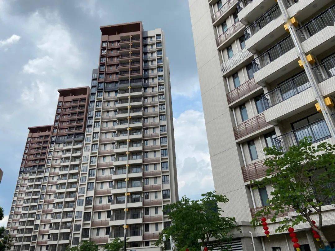 觀園路統(tǒng)建房最新動態(tài)，自然美景的探索之旅