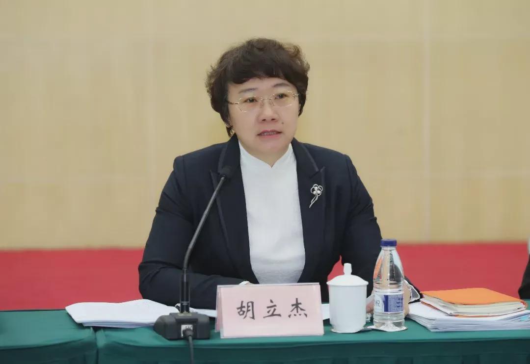 公吉寺程峰最新動態(tài)揭秘，小巷中的隱藏美食寶藏