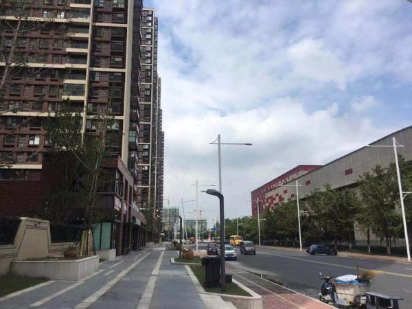 南京保利西江月最新動態(tài)，勵志之光引領(lǐng)未來之路