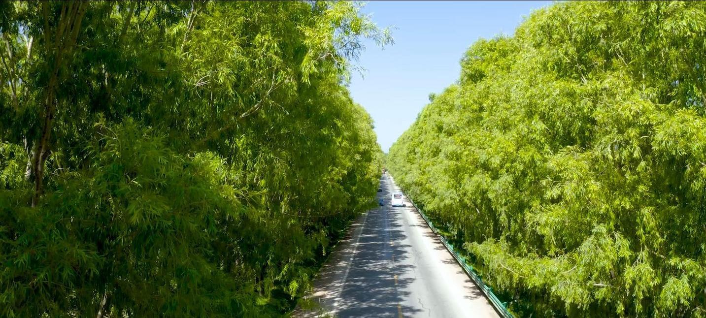 廣河高速車禍實時更新，最新消息匯總