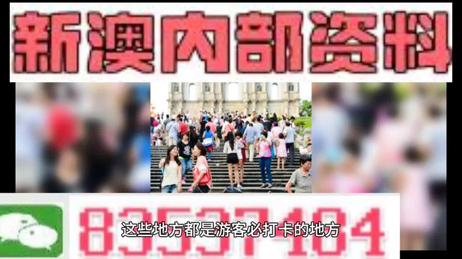 新澳精準(zhǔn)資料大全免費,靈活執(zhí)行方案_高級版2.145