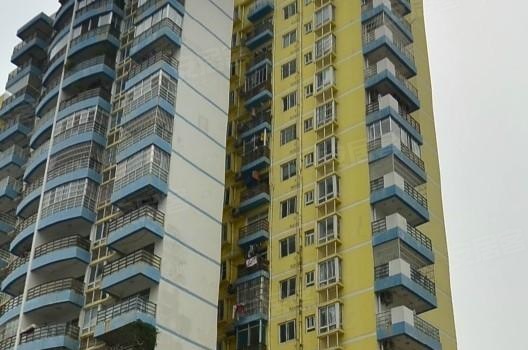 無為濱江駿景啟航新征程，最新動(dòng)態(tài)與夢(mèng)想成就之路