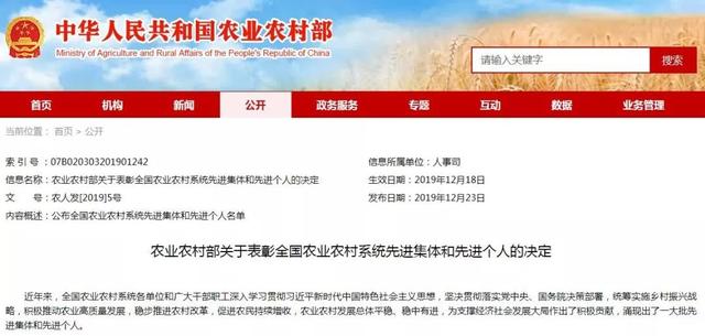 澳門一碼一肖一待一中百度,深入探討方案策略_閃電版58.331