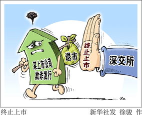 股票終止上市應(yīng)對策略，擁抱變化，開啟新征程！