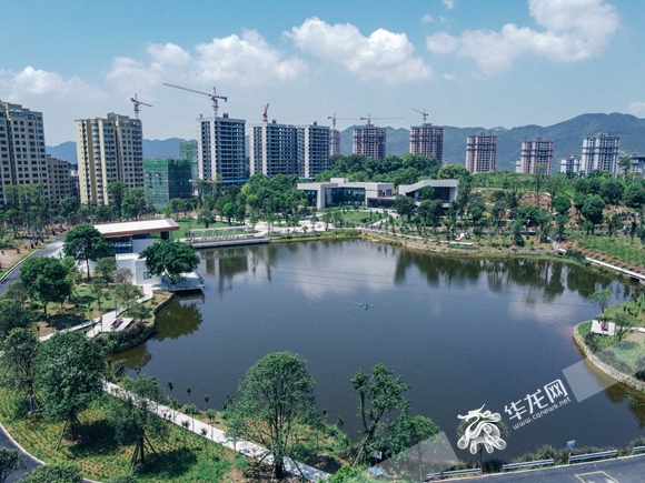 重慶北碚蔡家動(dòng)態(tài)更新，自然美景探索與治愈之旅