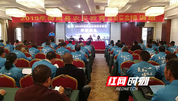 衡南縣新聞網(wǎng)最新資訊，擁抱自然，啟程尋找內(nèi)心寧?kù)o之旅