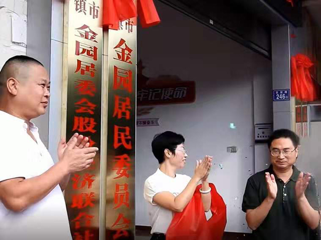 金園股份，高科技領(lǐng)域的璀璨新星——股票投資新選擇