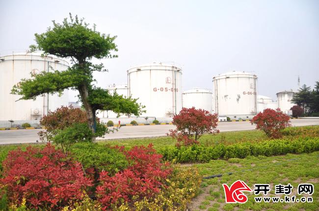 石化巨頭中石化邁向新征程的最新動態(tài)！