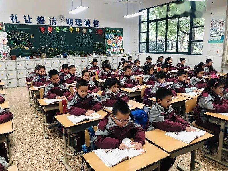 上海小學比賽，全面育人還是競賽選拔的探討？