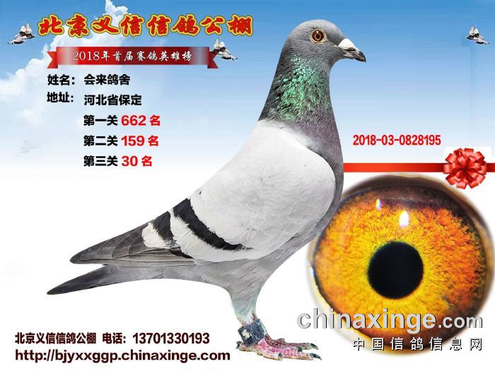 北京義信公棚最新動態(tài)，引領(lǐng)行業(yè)發(fā)展，先鋒力量展現(xiàn)