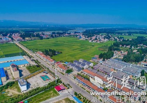 襄陽太平店鎮(zhèn)最新動態(tài)更新，鎮(zhèn)級最新發(fā)展概況