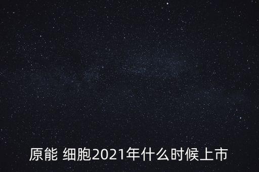 原能細(xì)胞上市，小巷中的神秘寶藏探索，特色小店的未知之旅