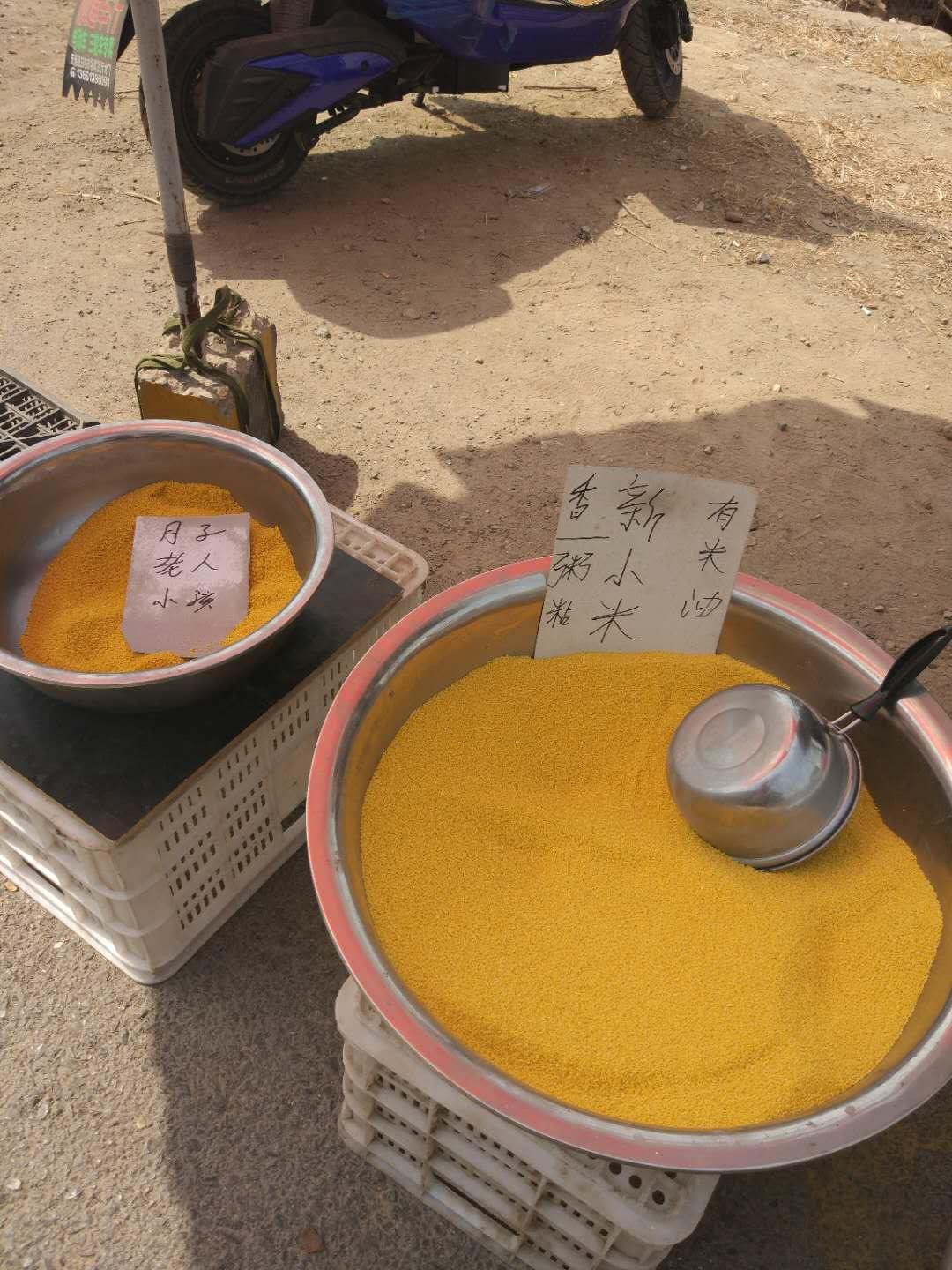 北京芒果行情詳解，選購(gòu)、鑒別與投資的初學(xué)者與進(jìn)階用戶指南