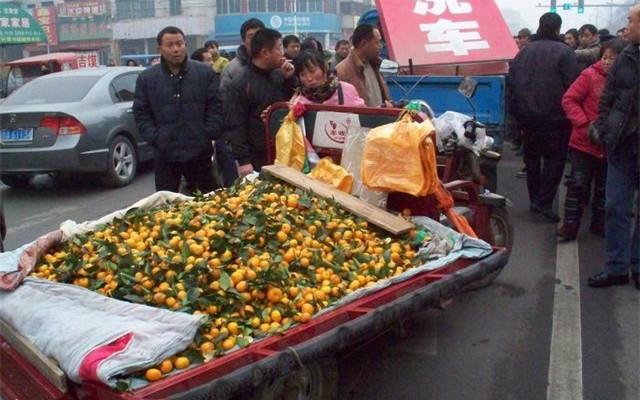 蓮藕市場遇冷，行業(yè)變遷與未來前景探析
