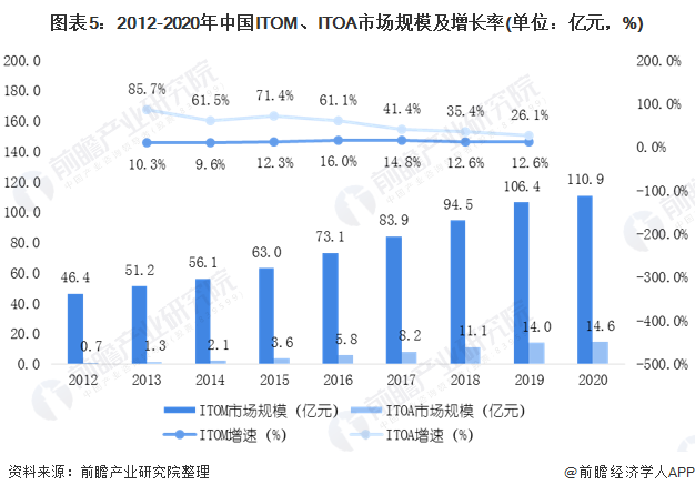 胡蘿卜的未來之路，2025年行情預(yù)測(cè)與成長(zhǎng)展望