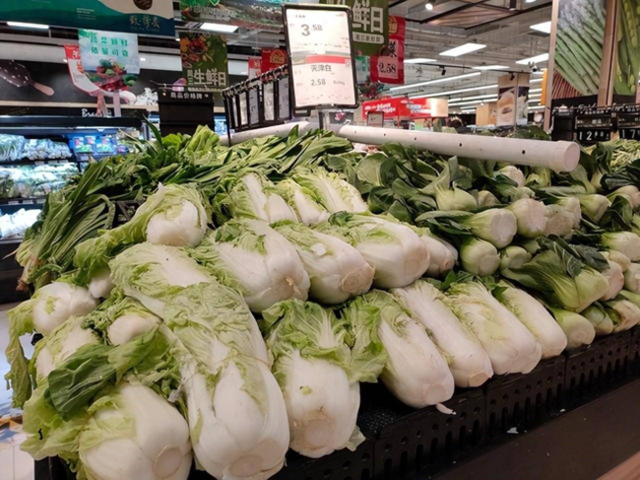 白菜批發(fā)市場價格動態(tài)，自然美景背后的市場波動與旅行體驗(yàn)之旅