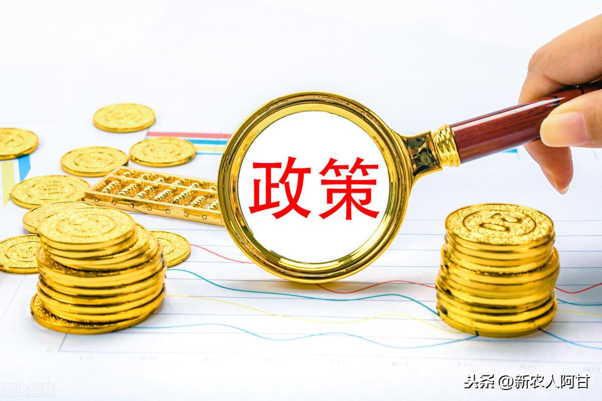 探索小巷獨(dú)特小店，最新創(chuàng)業(yè)用地資訊大揭秘！