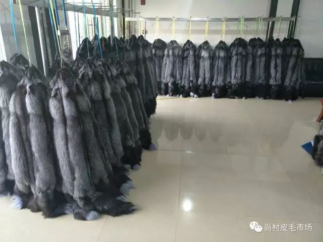 尚村水貂皮毛最新價格，與自然美景的邂逅與內心平和寧靜的追尋
