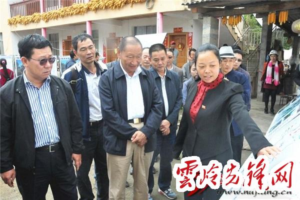 云南羅正富最新動態(tài)概覽，最新指南與進(jìn)展