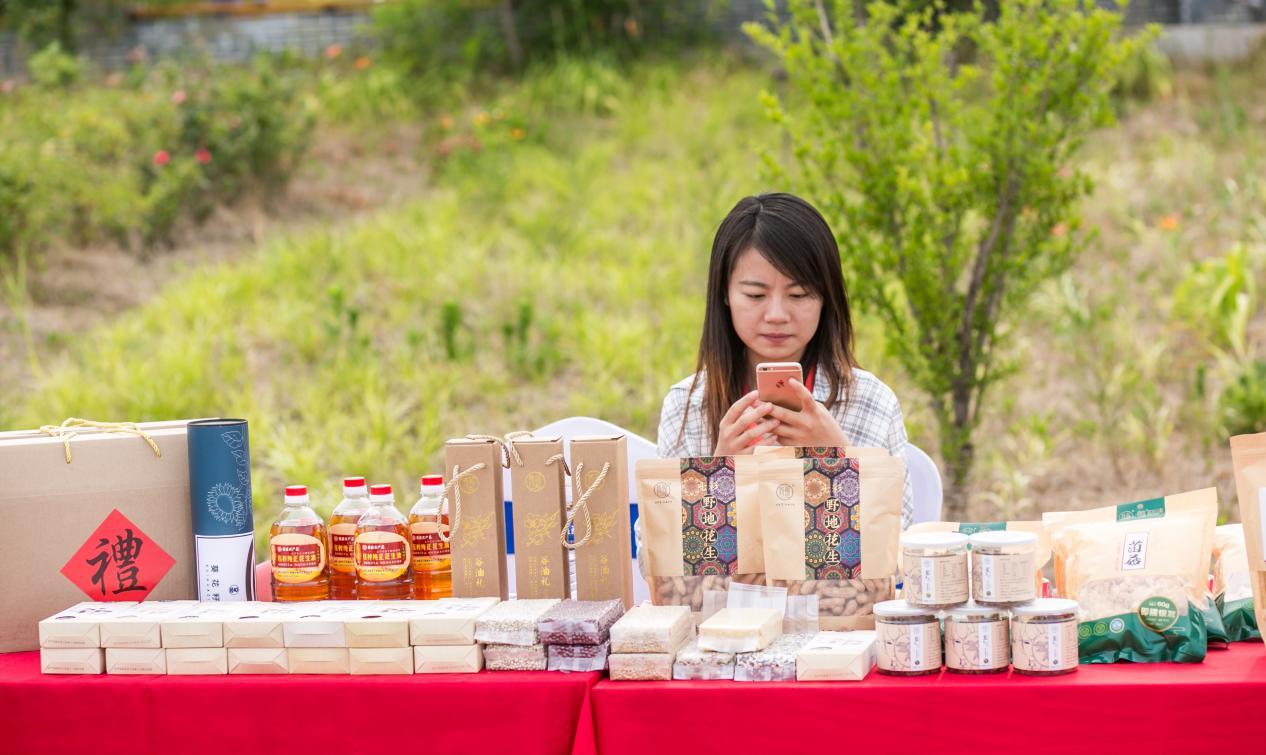 盛大發(fā)展歷程探究，現(xiàn)狀與發(fā)展之路