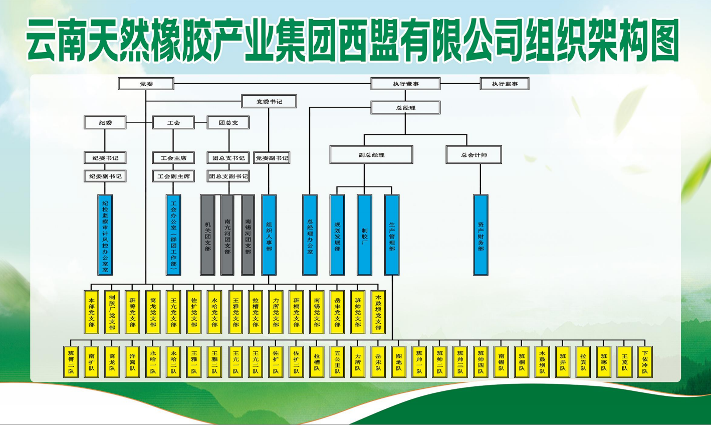 云南天然橡膠最新價格，探索橡膠產(chǎn)業(yè)背后的溫情故事