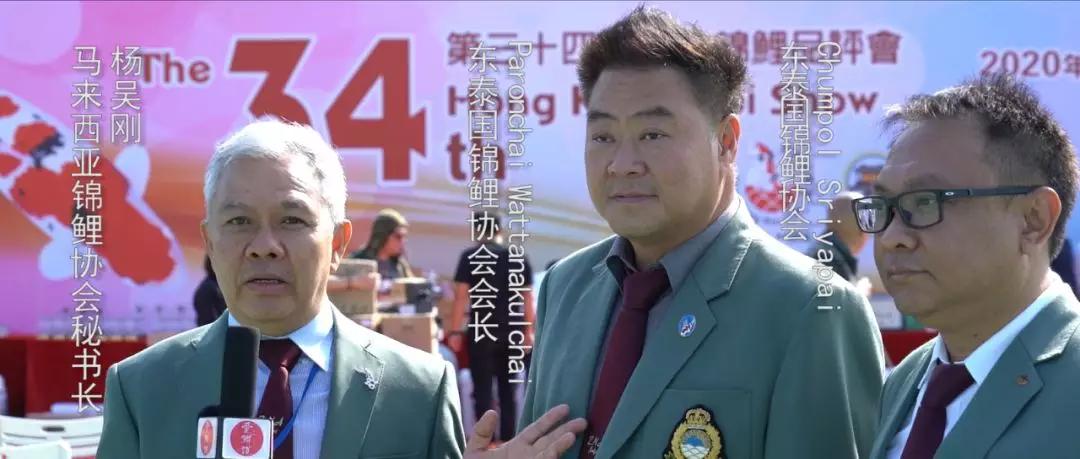 比賽錦鯉，好運(yùn)降臨，迎接勝利的喜悅！