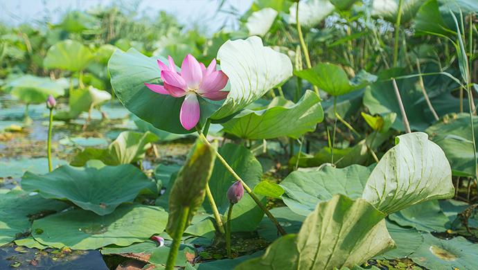 尤柔美最新變化，自信與成就感的源泉，展現(xiàn)力量的魅力