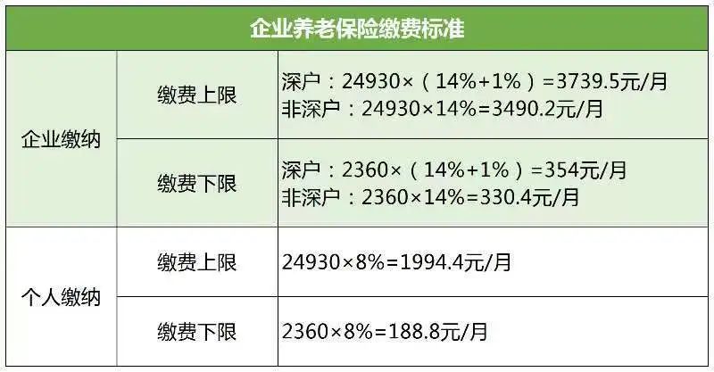 最新繳費(fèi)年月，開啟學(xué)習(xí)之路，培育自信與成就感的源泉