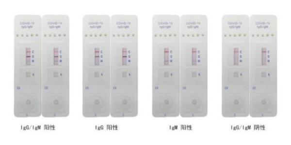 浙江最新抗體引領(lǐng)健康革命新篇章！