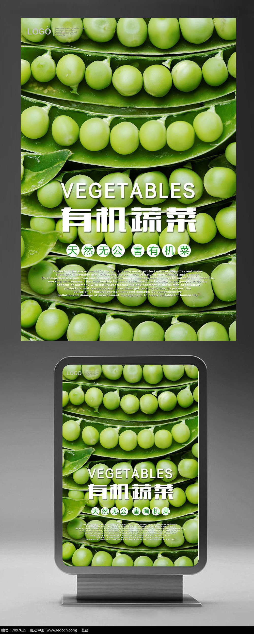 扁豆最新報(bào)價(jià)，市場(chǎng)走勢(shì)分析與選購(gòu)指南