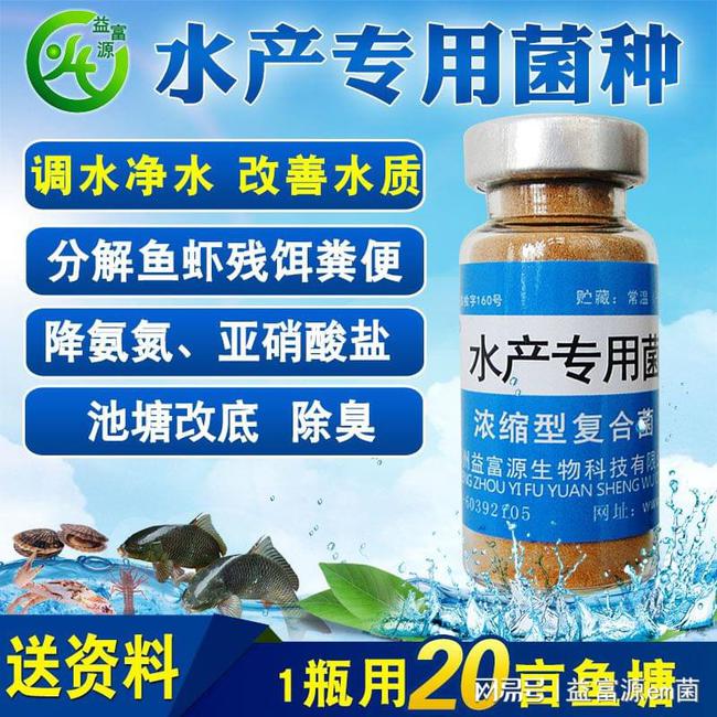 碘制劑最新進(jìn)展，小巷深處的神秘寶藏探索