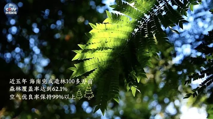 最新鮮自然之旅，一場絕美風景的沉浸式體驗