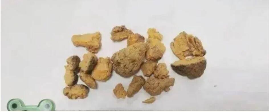 最新鴿子術(shù)引領(lǐng)未來(lái)生活變革，高科技產(chǎn)品帶來(lái)前所未有的體驗(yàn)