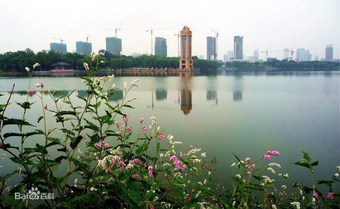 最新昌樂(lè)，背景、事件與地位的深度解讀