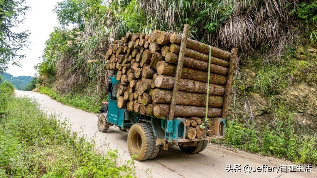 梅子鎮(zhèn)，自然美景的探索之旅，尋找內(nèi)心的平和與喜悅