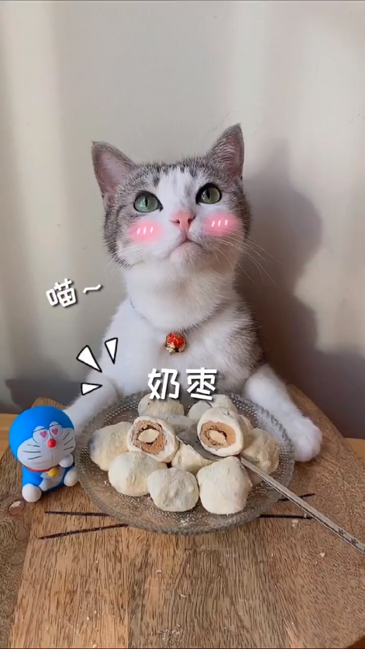 最新聲控喵，自然美景探險之旅，尋找內(nèi)心的平和與寧靜