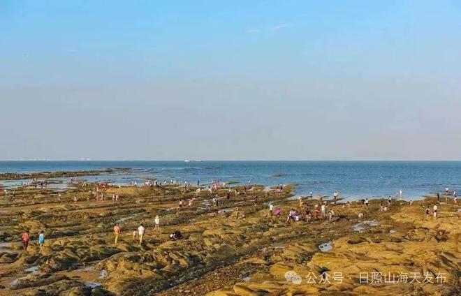 日照趕海最新詳細(xì)步驟指南，探索趕海新體驗(yàn)！